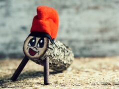 Càmpings oberts pel pont de desembre 2025